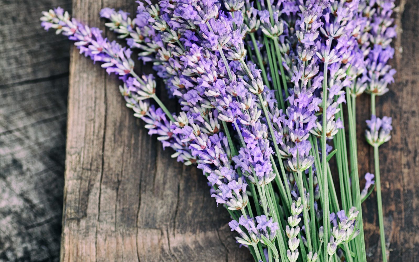 How to Preserve Basil 9 Recipes to Enjoy Basil All Year Garden